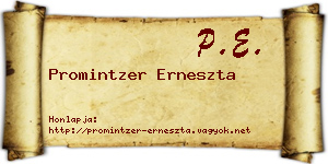 Promintzer Erneszta névjegykártya